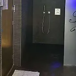 格勒诺布尔公园酒店 - 索菲特美憬阁 4*