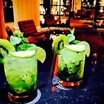 酒店 格勒诺布尔公园酒店 - 索菲特美憬阁 4*