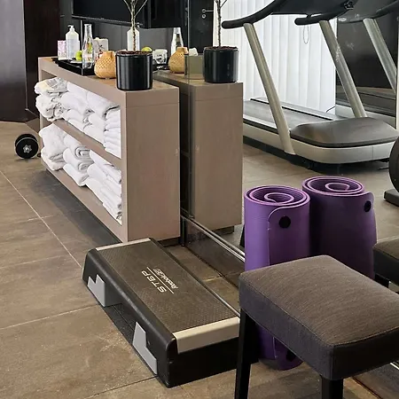 Park - Mgallery Collection 4* Grenoble