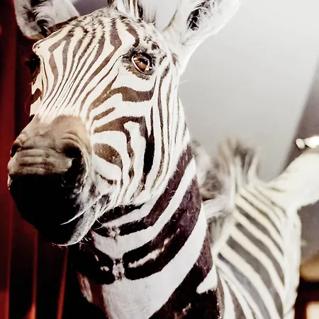 Hotel Park - Mgallery Collection Grenoble