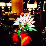 酒店 格勒诺布尔公园酒店 - 索菲特美憬阁 4*