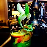 格勒诺布尔公园酒店 - 索菲特美憬阁 4*